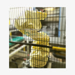 cnc1