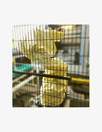cnc1
